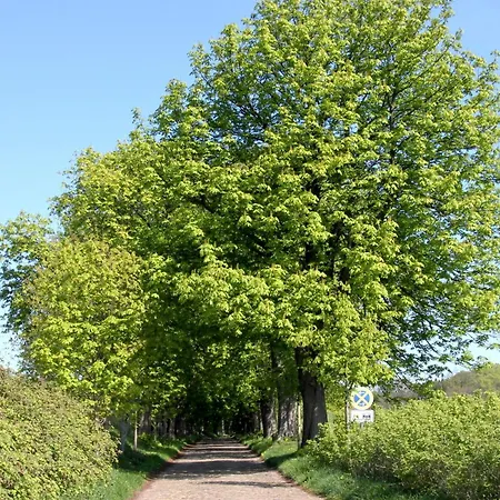 Vogelblick Haushaelfte 2 *