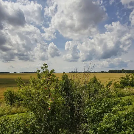 Tatil Evi Vogelblick Haushaelfte 2